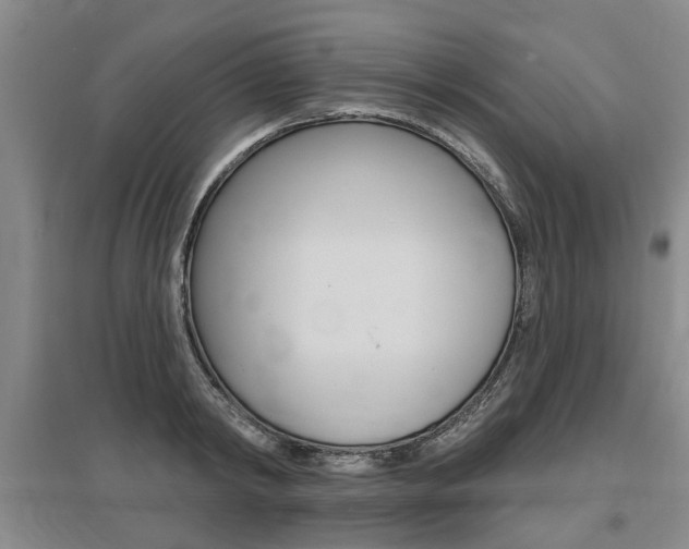 X0000095880798200801110803