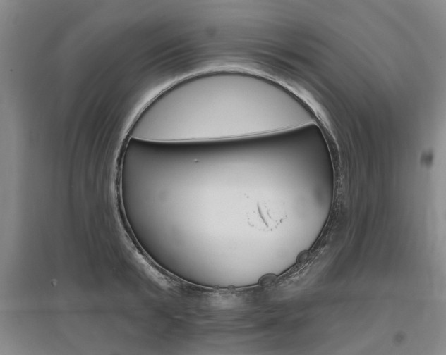 X0000095880799200801110803