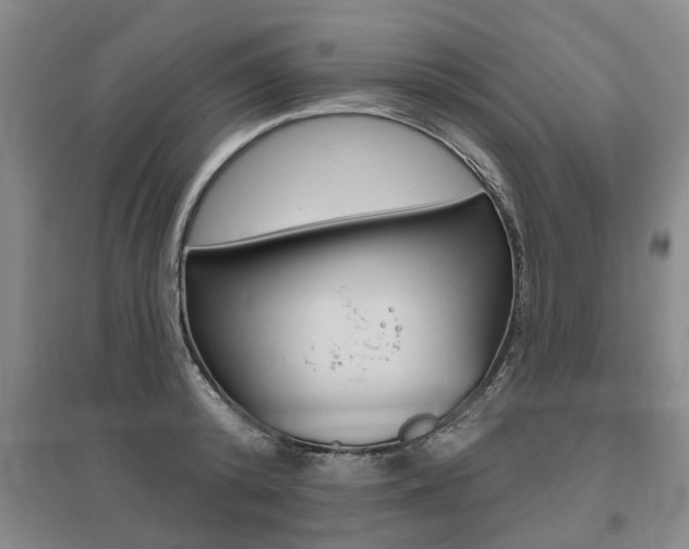 X0000095880800200801110803