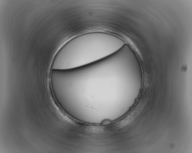 X0000095880802200801110803