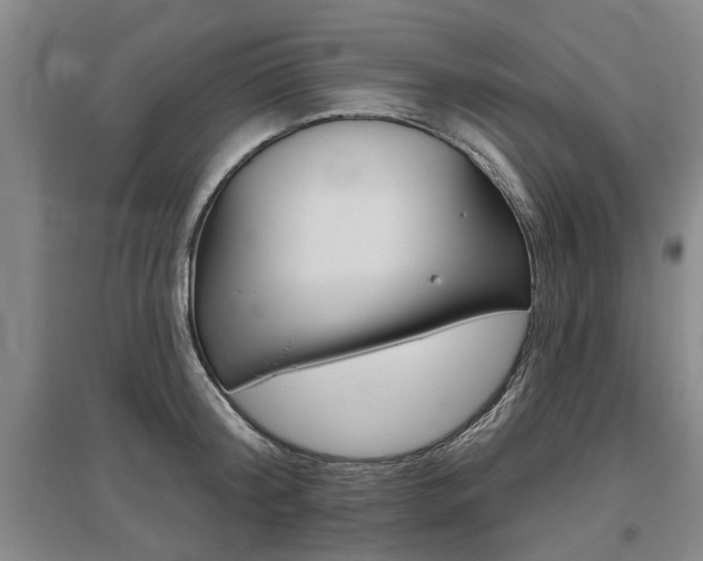 X0000095880804200801110803