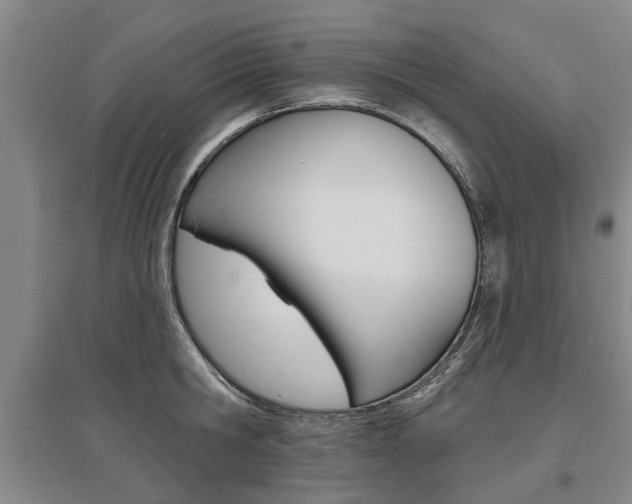 X0000095880806200801110803