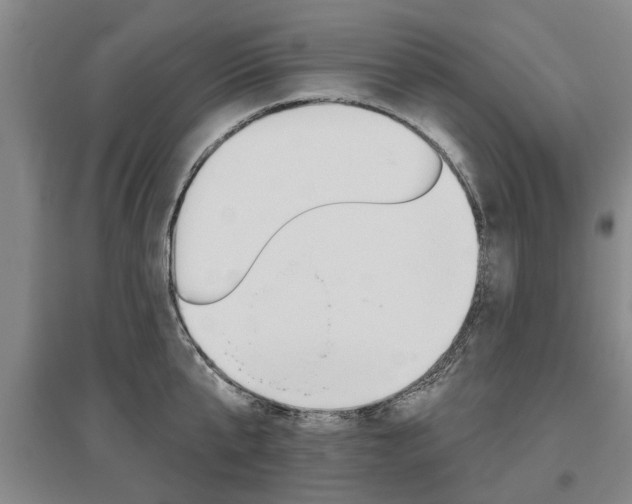 X0000095880807200801110803