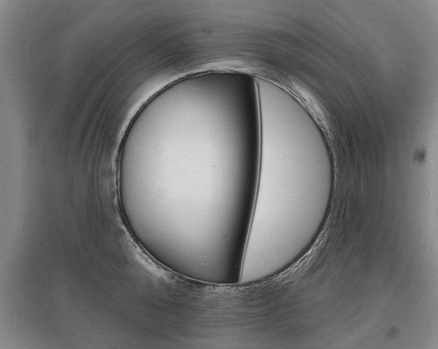 X0000095880808200801110803