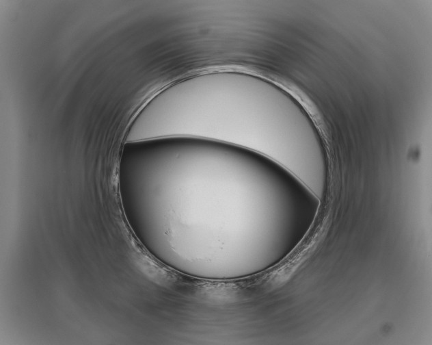 X0000095880809200801110803