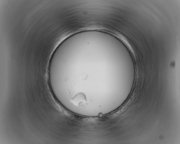 X0000095880810200801110803