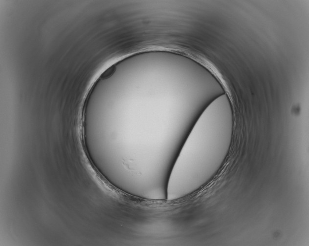 X0000095880811200801110803