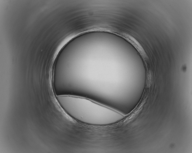 X0000095880812200801110803