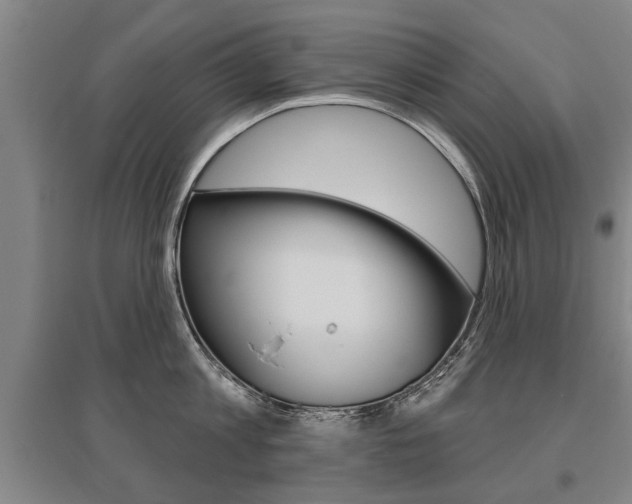 X0000095880813200801110803