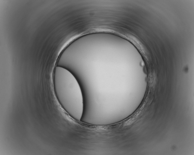 X0000095880814200801110803
