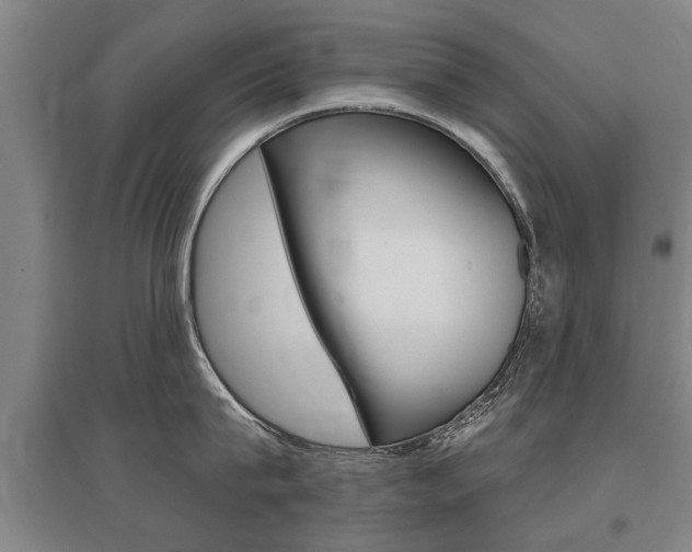 X0000095880815200801110803