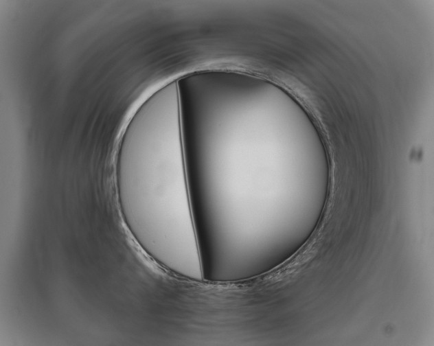 X0000095880816200801110803