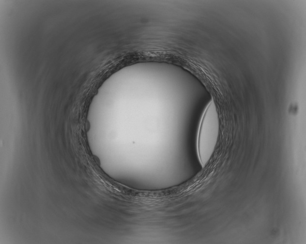 X0000095880817200801110802
