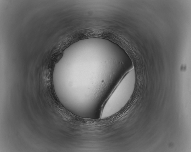 X0000095880818200801110802