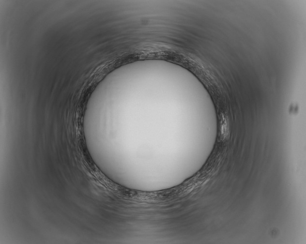 X0000095880819200801110802