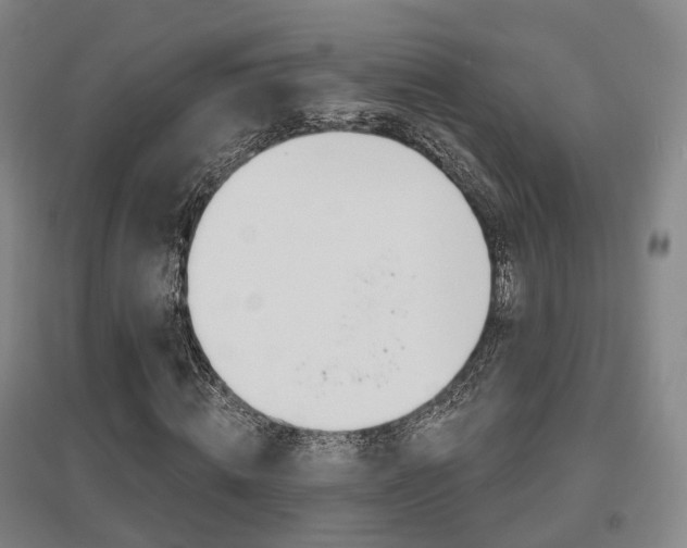 X0000095880820200801110802