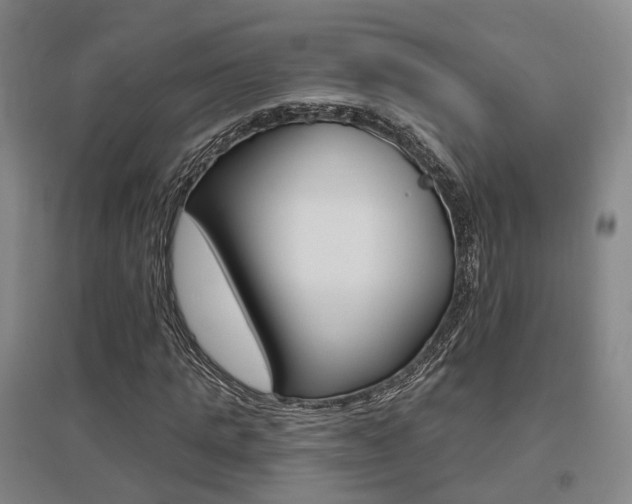 X0000095880821200801110802