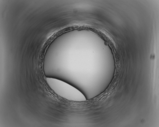 X0000095880823200801110802