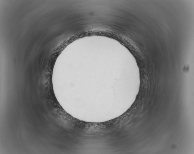 X0000095880824200801110802