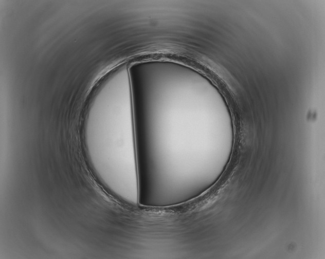 X0000095880826200801110802