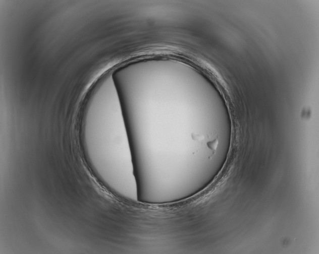 X0000095880827200801110802