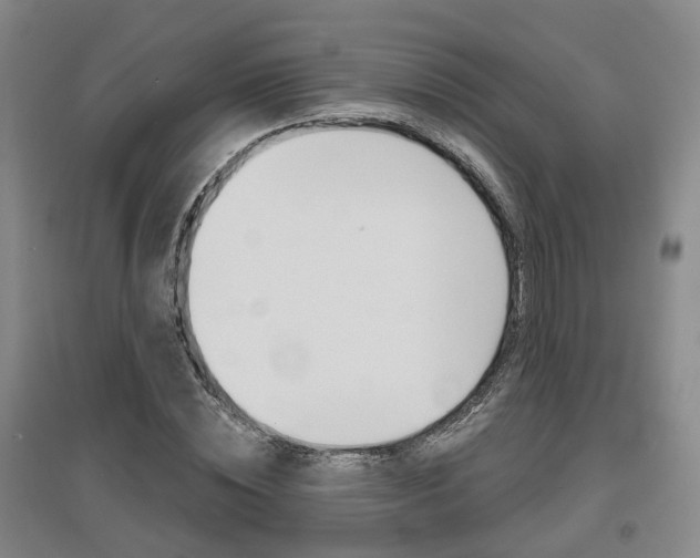 X0000095880828200801110802