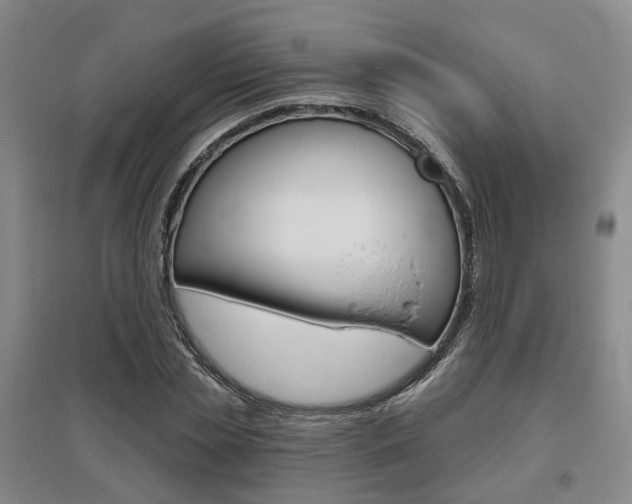 X0000095880829200801110802