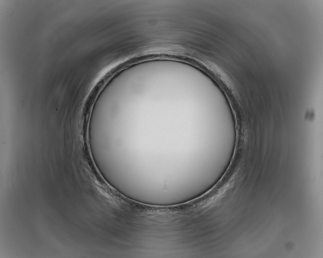 X0000095880830200801110802