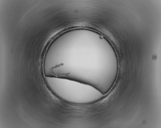 X0000095880831200801110802