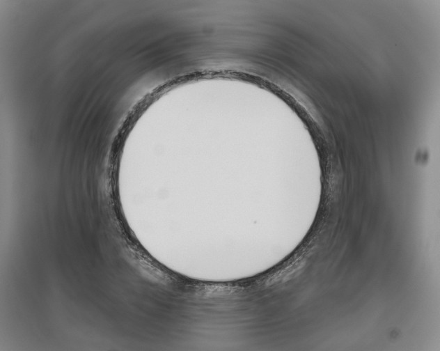 X0000095880832200801110802