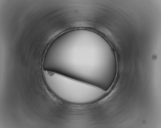 X0000095880833200801110802