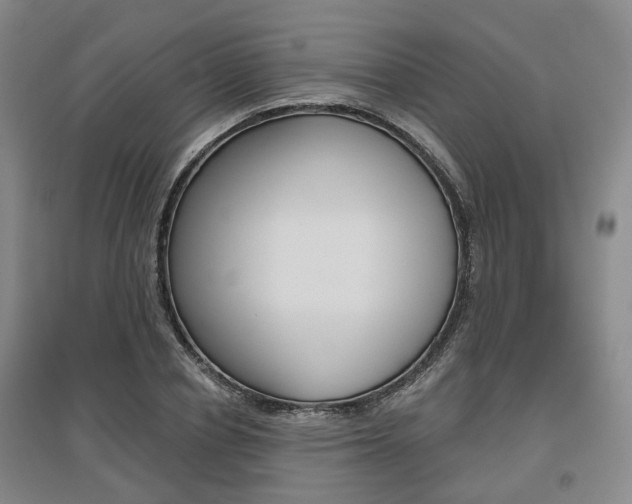 X0000095880834200801110802