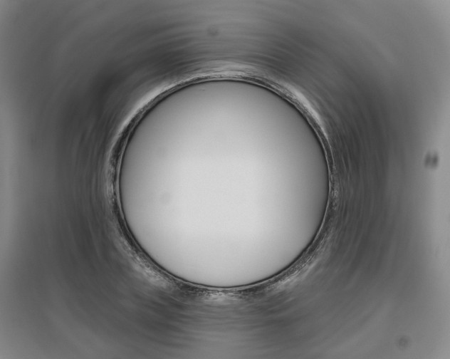 X0000095880835200801110803