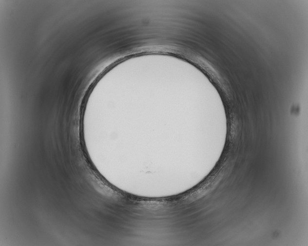 X0000095880836200801110803