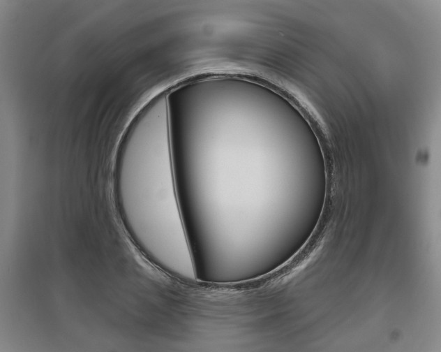 X0000095880837200801110803