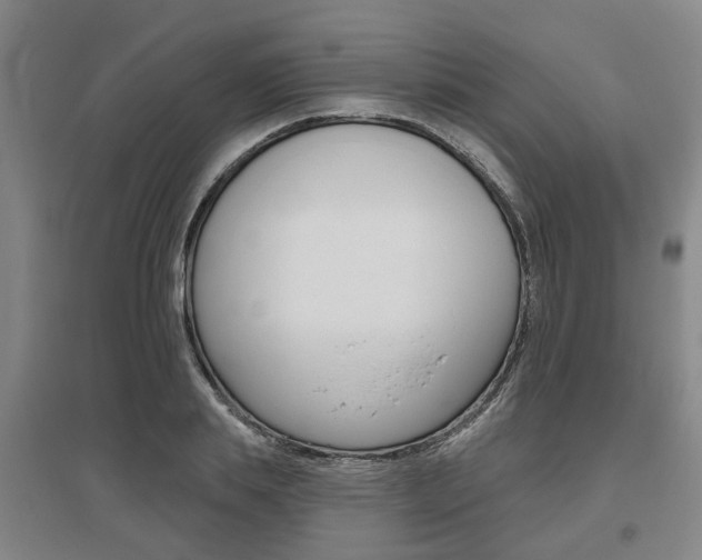 X0000095880839200801110803