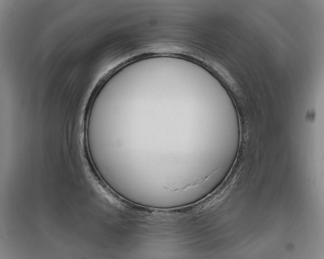 X0000095880840200801110803