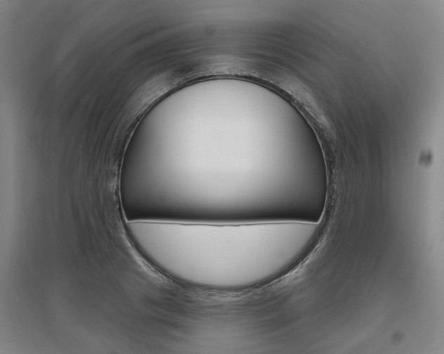 X0000095880841200801110803