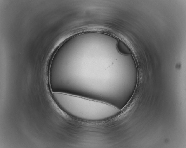 X0000095880843200801110803