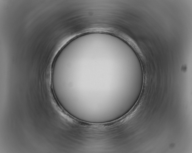 X0000095880844200801110803
