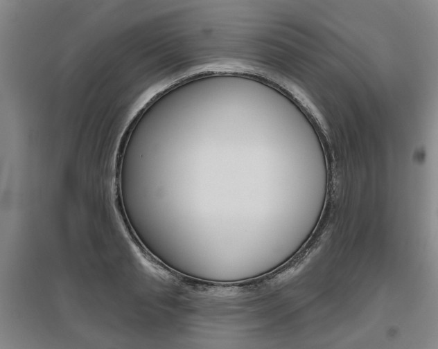 X0000095880845200801110803