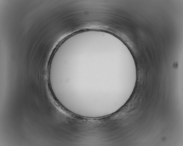 X0000095880848200801110803