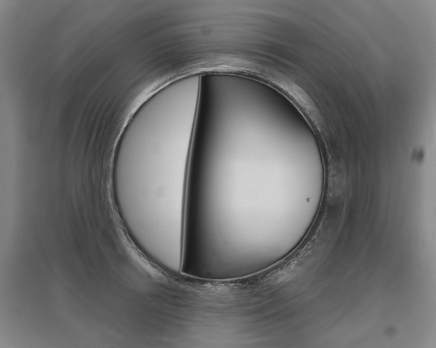 X0000095880850200801110803