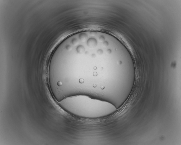 X0000095880851200801110803