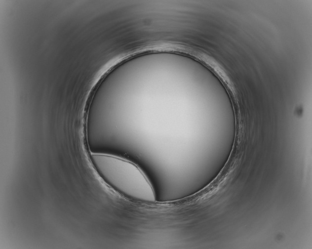 X0000095880853200801110803
