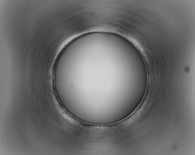 X0000095880854200801110803