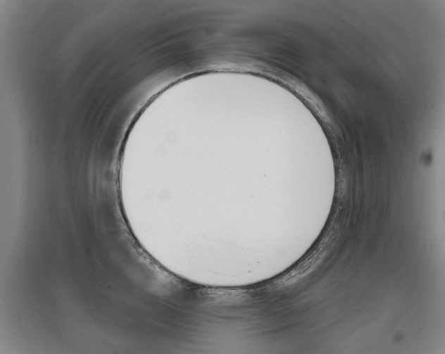 X0000095880856200801110803
