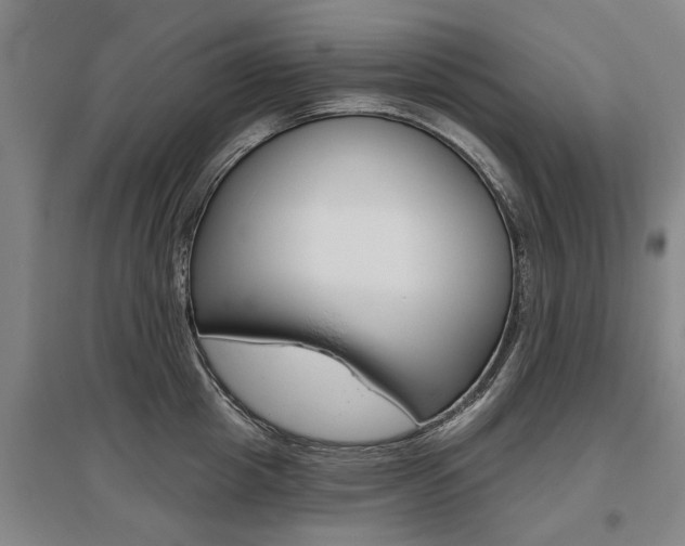 X0000095880857200801110803
