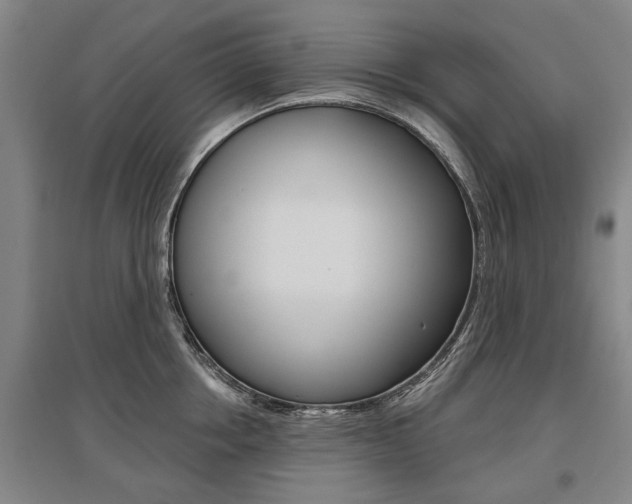 X0000095880858200801110803