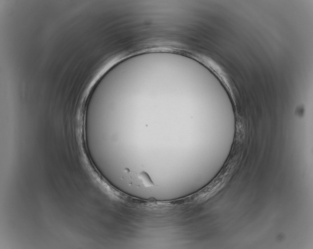 X0000095880859200801110803